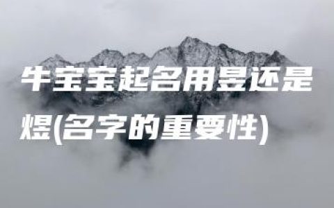 牛宝宝起名用昱还是煜(名字的重要性)