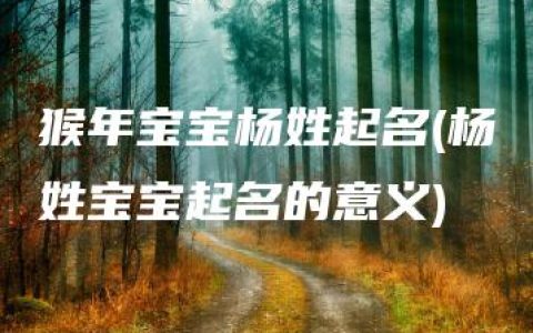 猴年宝宝杨姓起名(杨姓宝宝起名的意义)