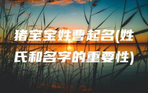 猪宝宝姓曹起名(姓氏和名字的重要性)