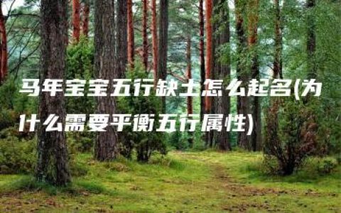 马年宝宝五行缺土怎么起名(为什么需要平衡五行属性)