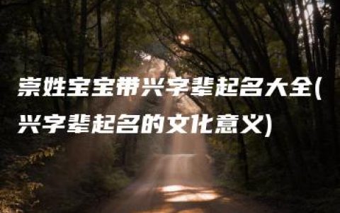 崇姓宝宝带兴字辈起名大全(兴字辈起名的文化意义)