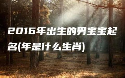 2016年出生的男宝宝起名(年是什么生肖)