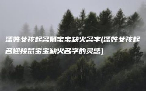 潘姓女孩起名鼠宝宝缺火名字(潘姓女孩起名迎接鼠宝宝缺火名字的灵感)