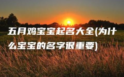 五月鸡宝宝起名大全(为什么宝宝的名字很重要)