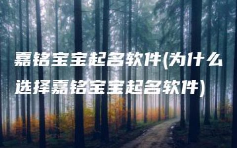 嘉铭宝宝起名软件(为什么选择嘉铭宝宝起名软件)