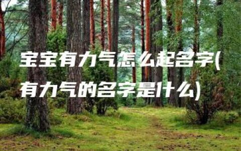 宝宝有力气怎么起名字(有力气的名字是什么)