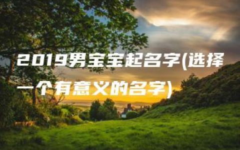 2019男宝宝起名字(选择一个有意义的名字)