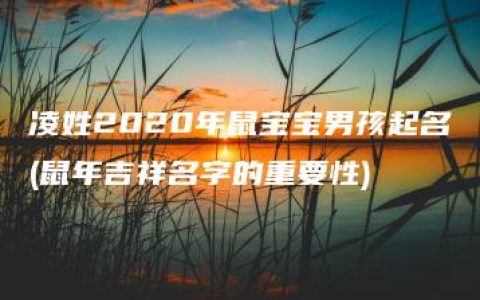 凌姓2020年鼠宝宝男孩起名(鼠年吉祥名字的重要性)