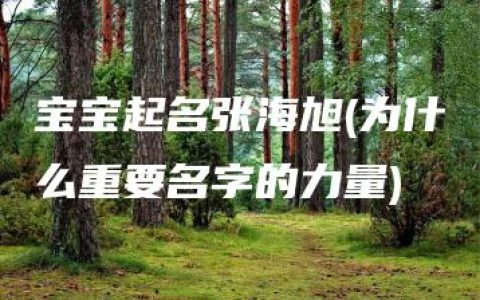 宝宝起名张海旭(为什么重要名字的力量)