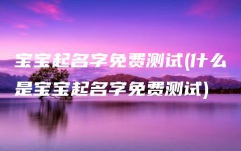 宝宝起名字免费测试(什么是宝宝起名字免费测试)