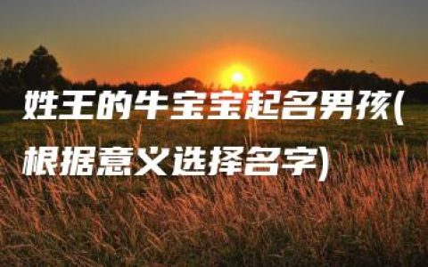 姓王的牛宝宝起名男孩(根据意义选择名字)