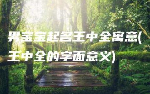 男宝宝起名王中全寓意(王中全的字面意义)