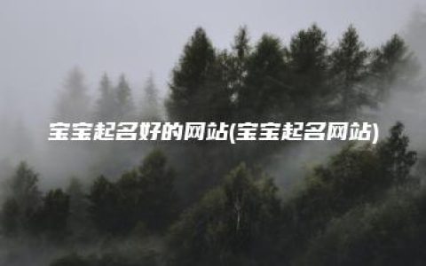 宝宝起名好的网站(宝宝起名网站)