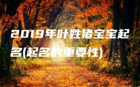 2019年叶姓猪宝宝起名(起名的重要性)