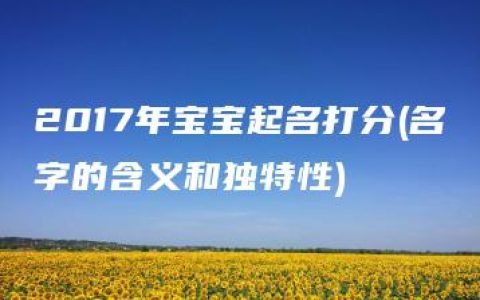 2017年宝宝起名打分(名字的含义和独特性)