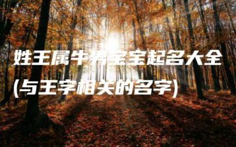 姓王属牛男宝宝起名大全(与王字相关的名字)