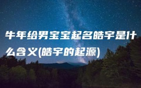 牛年给男宝宝起名皓宇是什么含义(皓宇的起源)