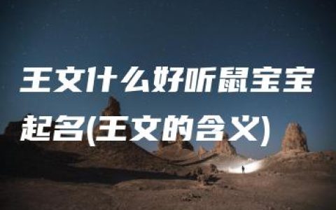 王文什么好听鼠宝宝起名(王文的含义)