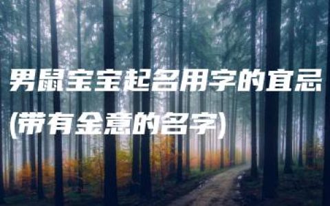 男鼠宝宝起名用字的宜忌(带有金意的名字)