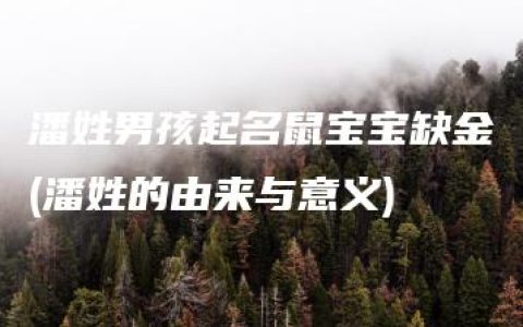 潘姓男孩起名鼠宝宝缺金(潘姓的由来与意义)