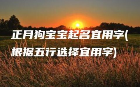 正月狗宝宝起名宜用字(根据五行选择宜用字)