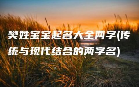 樊姓宝宝起名大全两字(传统与现代结合的两字名)