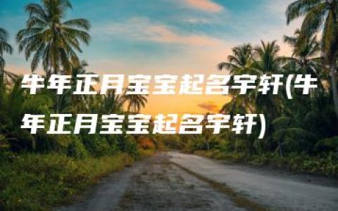 牛年正月宝宝起名宇轩(牛年正月宝宝起名宇轩)