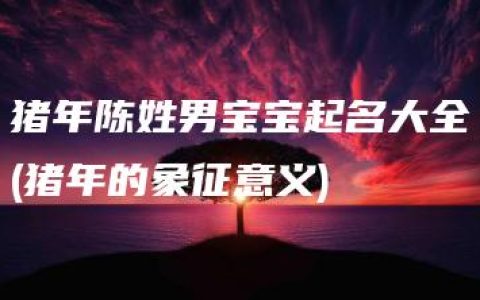 猪年陈姓男宝宝起名大全(猪年的象征意义)