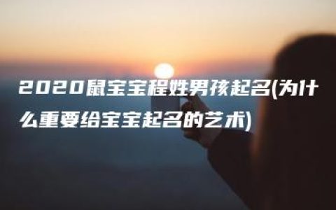 2020鼠宝宝程姓男孩起名(为什么重要给宝宝起名的艺术)