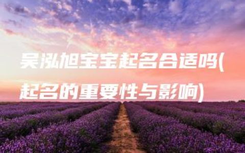 吴泓旭宝宝起名合适吗(起名的重要性与影响)