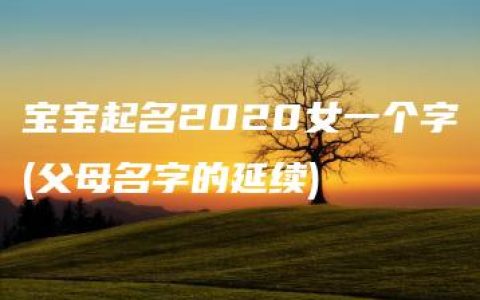 宝宝起名2020女一个字(父母名字的延续)