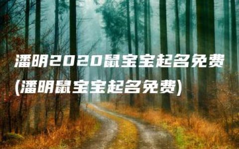 潘明2020鼠宝宝起名免费(潘明鼠宝宝起名免费)