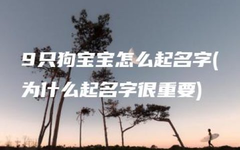 9只狗宝宝怎么起名字(为什么起名字很重要)