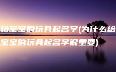 给宝宝的玩具起名字(为什么给宝宝的玩具起名字很重要)