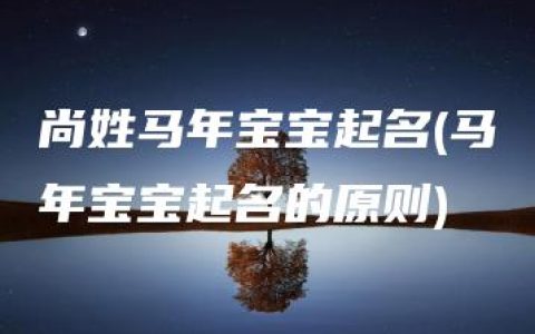 尚姓马年宝宝起名(马年宝宝起名的原则)