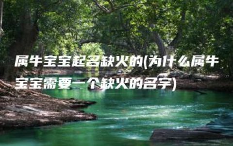 属牛宝宝起名缺火的(为什么属牛宝宝需要一个缺火的名字)