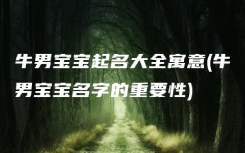 牛男宝宝起名大全寓意(牛男宝宝名字的重要性)