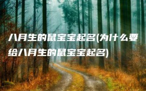 八月生的鼠宝宝起名(为什么要给八月生的鼠宝宝起名)