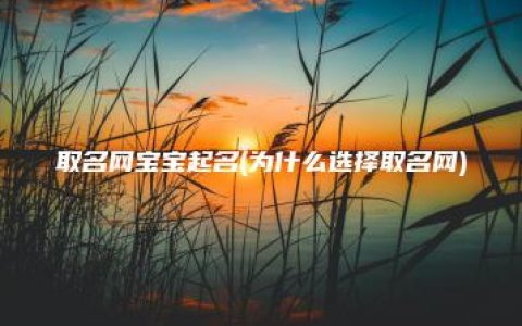 取名网宝宝起名(为什么选择取名网)