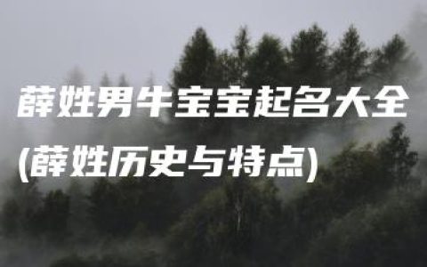 薛姓男牛宝宝起名大全(薛姓历史与特点)