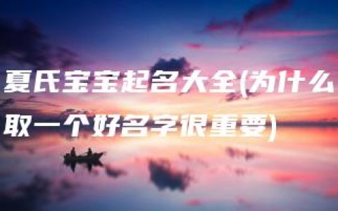 夏氏宝宝起名大全(为什么取一个好名字很重要)