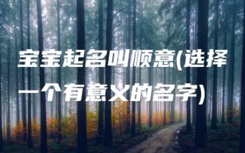 宝宝起名叫顺意(选择一个有意义的名字)