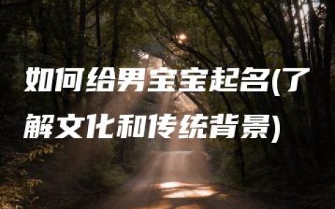 如何给男宝宝起名(了解文化和传统背景)