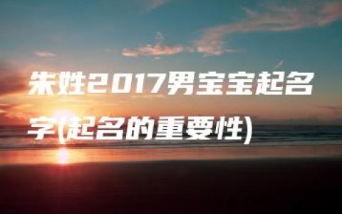 朱姓2017男宝宝起名字(起名的重要性)