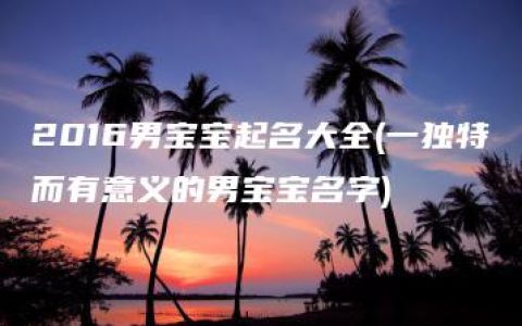 2016男宝宝起名大全(一独特而有意义的男宝宝名字)