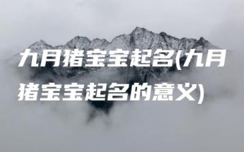 九月猪宝宝起名(九月猪宝宝起名的意义)