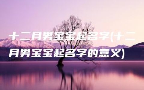 十二月男宝宝起名字(十二月男宝宝起名字的意义)