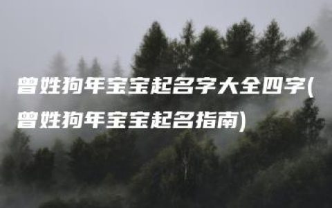 曾姓狗年宝宝起名字大全四字(曾姓狗年宝宝起名指南)