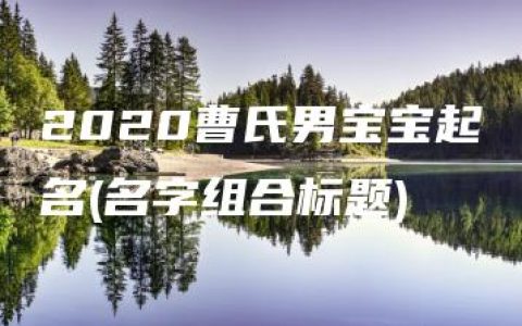 2020曹氏男宝宝起名(名字组合标题)