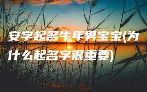 安字起名牛年男宝宝(为什么起名字很重要)